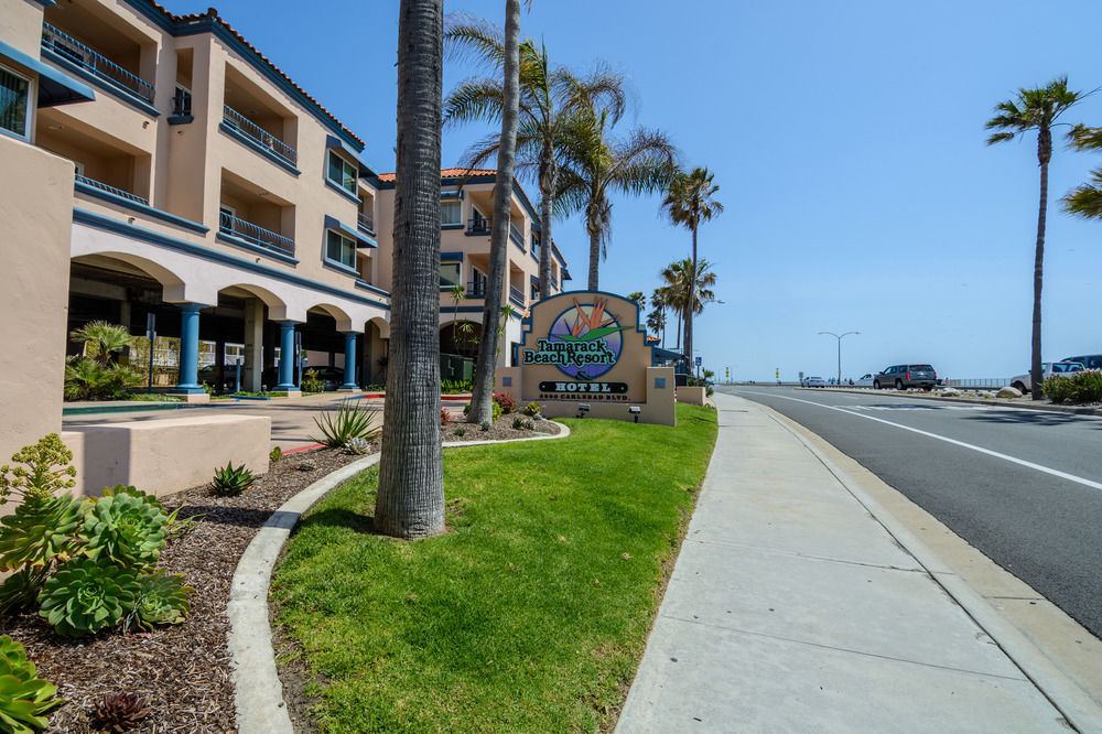 Tamarack Beach Hotel Carlsbad Eksteriør billede