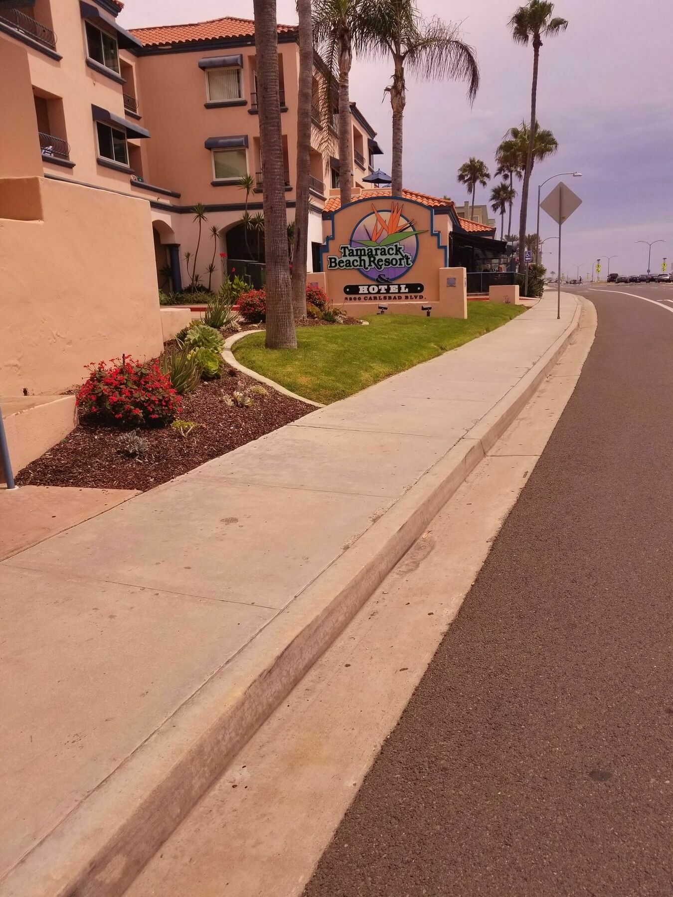 Tamarack Beach Hotel Carlsbad Eksteriør billede